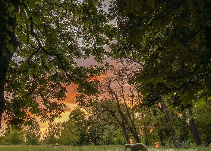 Na Wodzie - On The River Prázdninový dům